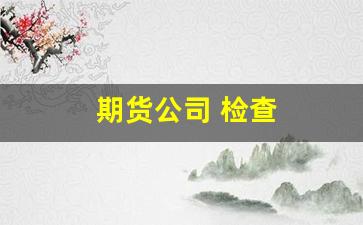 期货公司 检查(期货公司 检查工作内容)_https://www.wguangz.com_郑商所_第1张